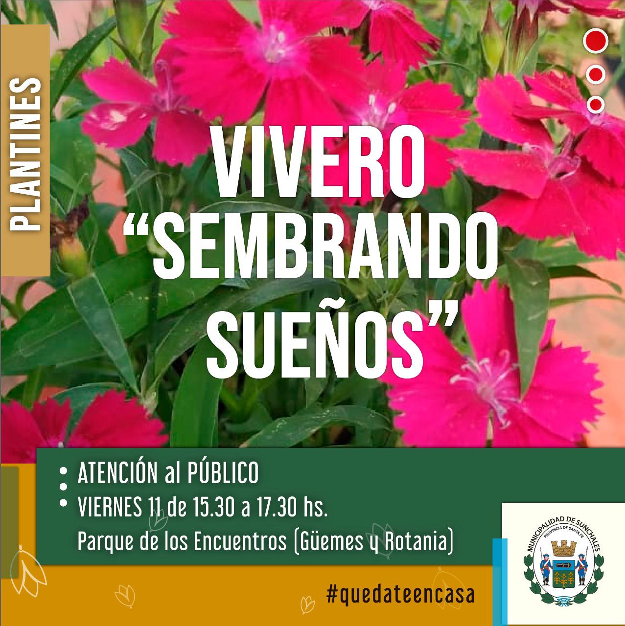 vivero sembrando 5