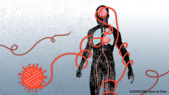 el-coronavirus-no-solo-afecta-a-los-pulmones