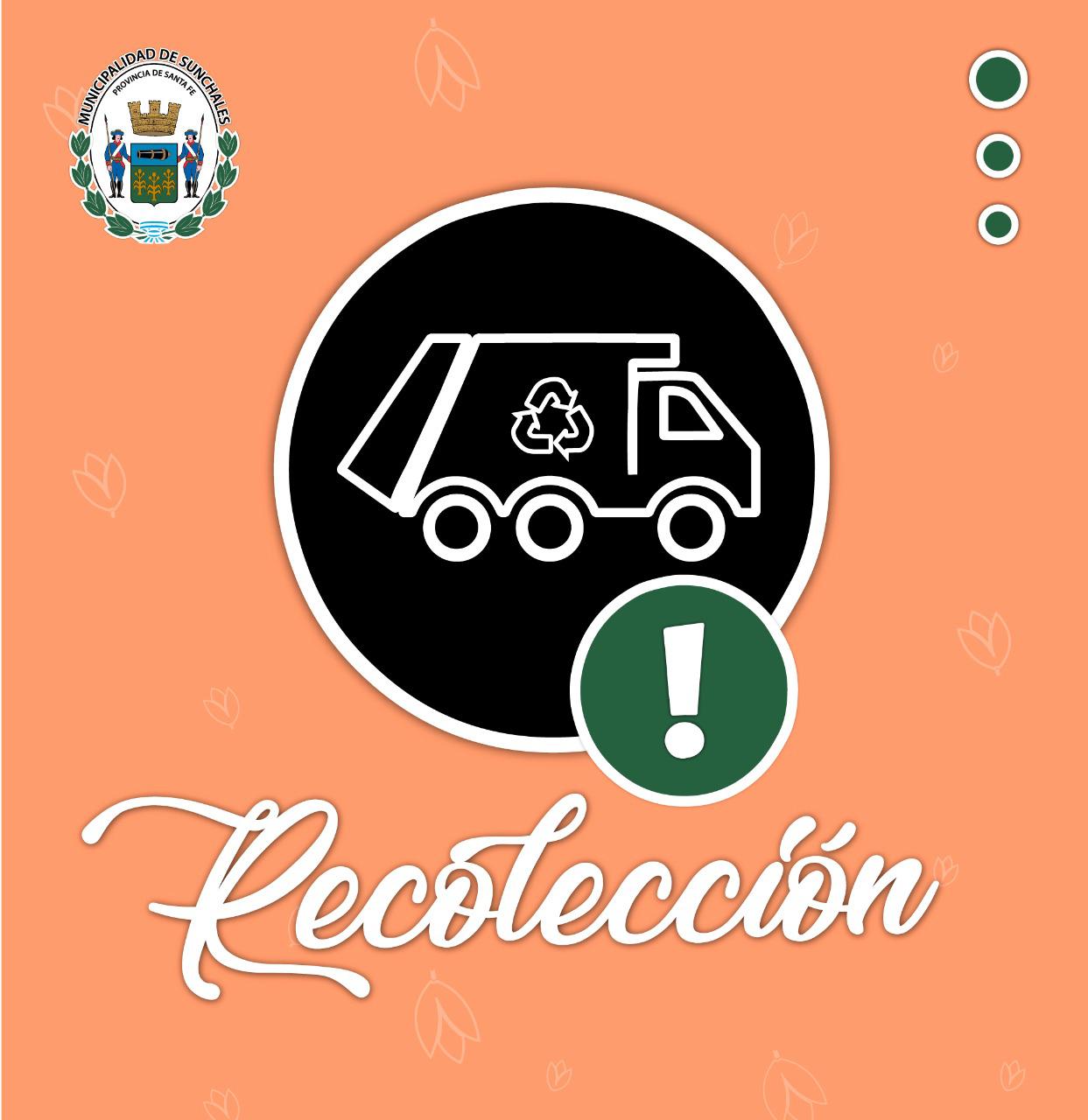 recolección