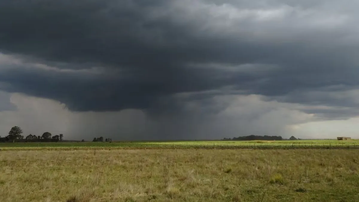 tormenta