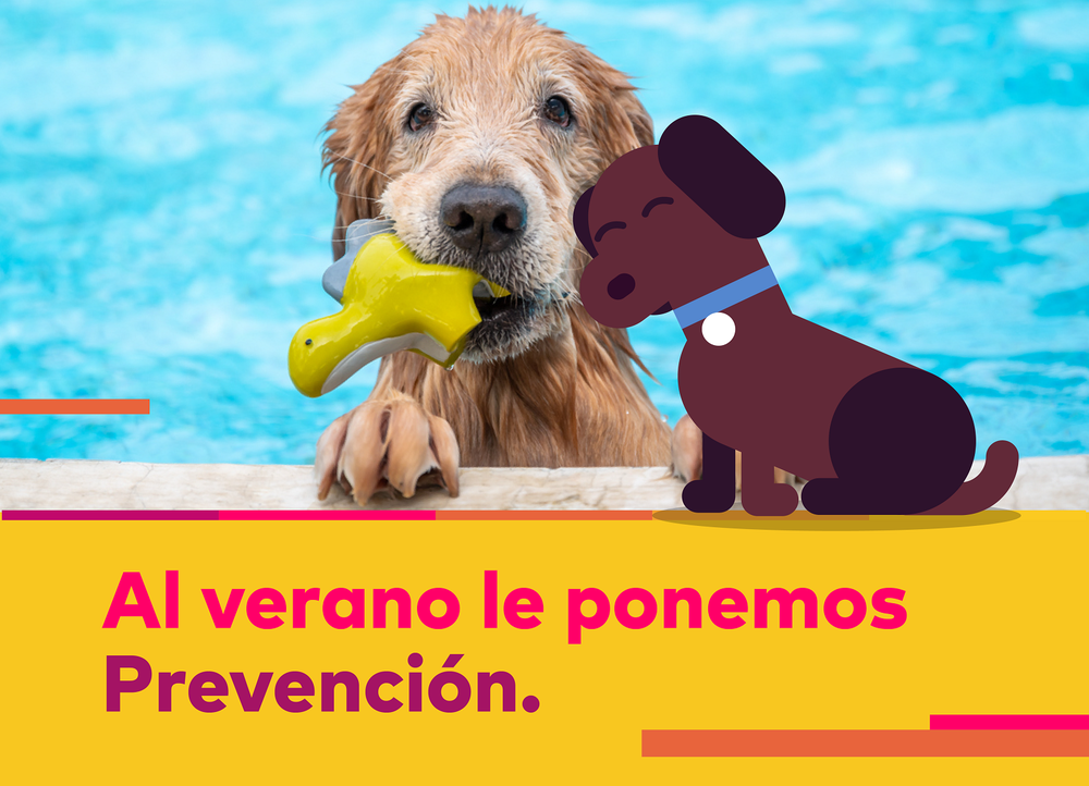 20230202_PS_Verano-Img-ilustrativas-03