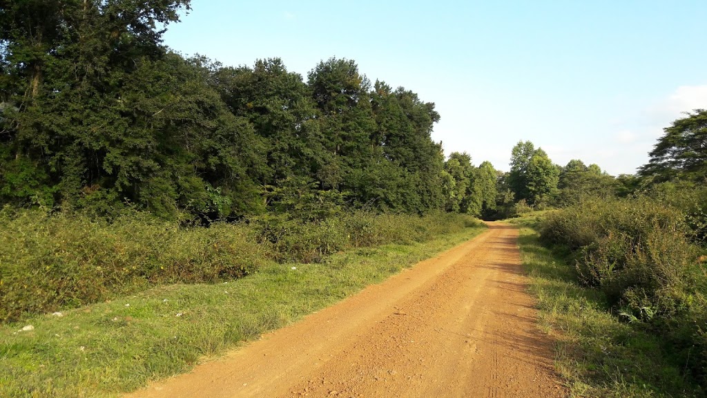 Camino_rural_2