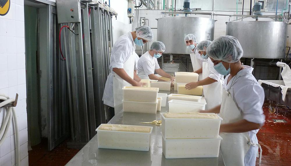 Trabajadores industria lechera