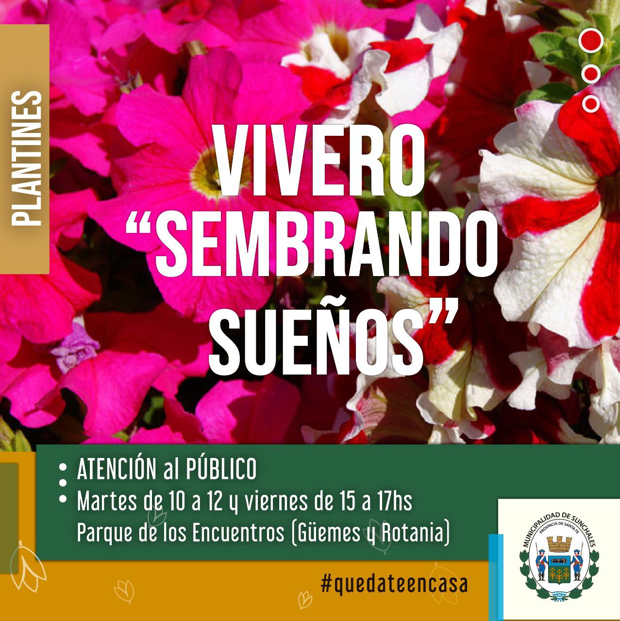 vivero sembrando 4