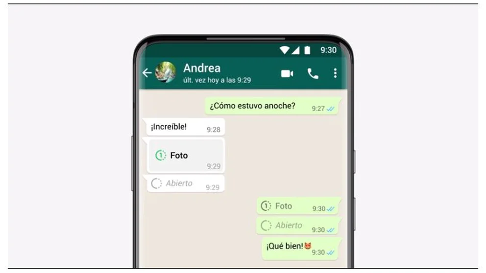 Whatsapp 1