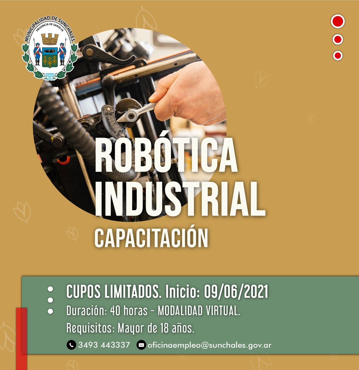 robotica industrial