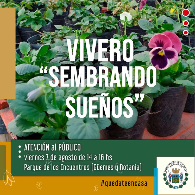 vivero sembrando 3
