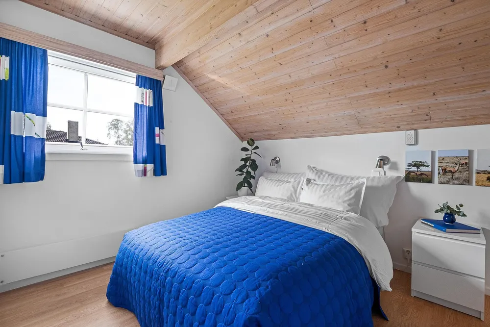 Camaras de interior 3