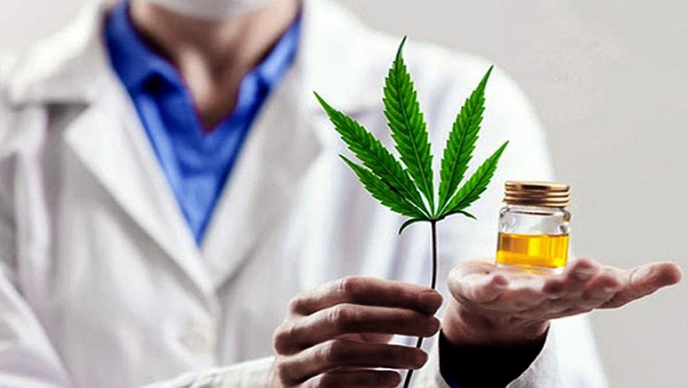 Ley De Cannabis Medicinal Una Herramienta Para Un Uso Terapéutico Más Amplio 4355