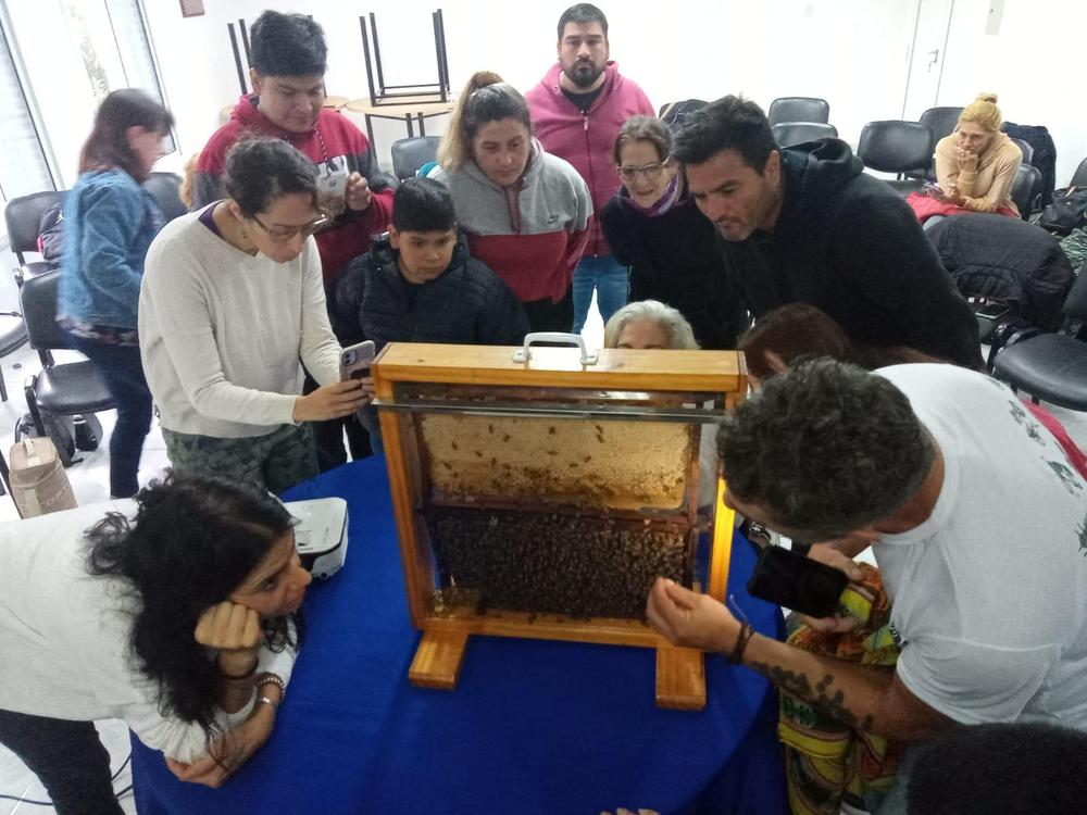 Clase EMAES - Apicultura 3