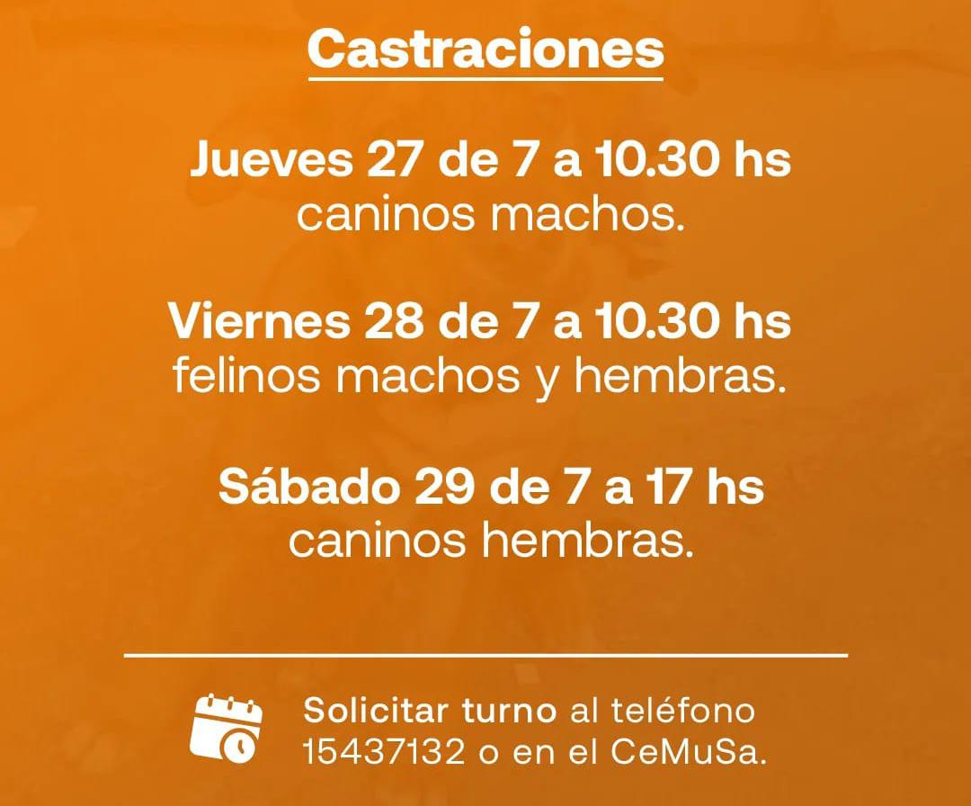 Quirofano Movil en Barrio Sancor 2