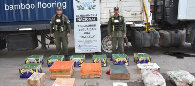 Procedimiento animales silvestres 3 12-2-26