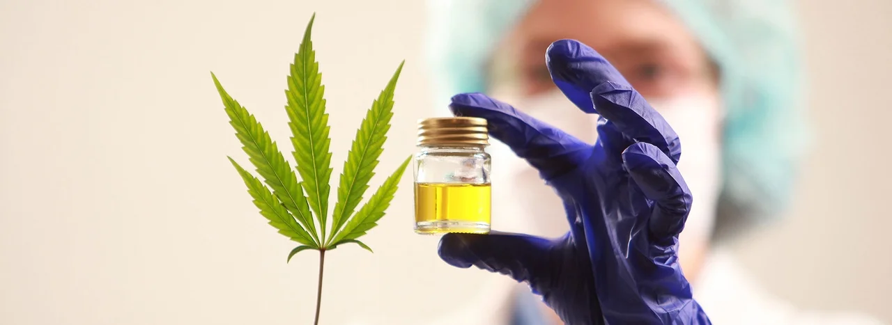 cannabis