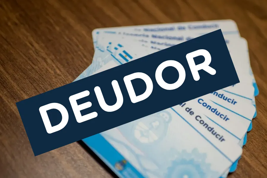 Deudor alimentario