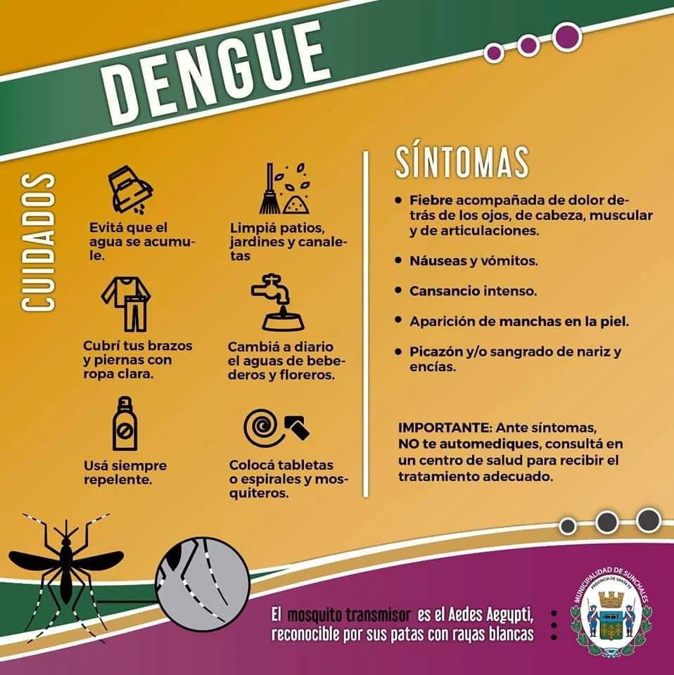 Plan preventivo dengue 1