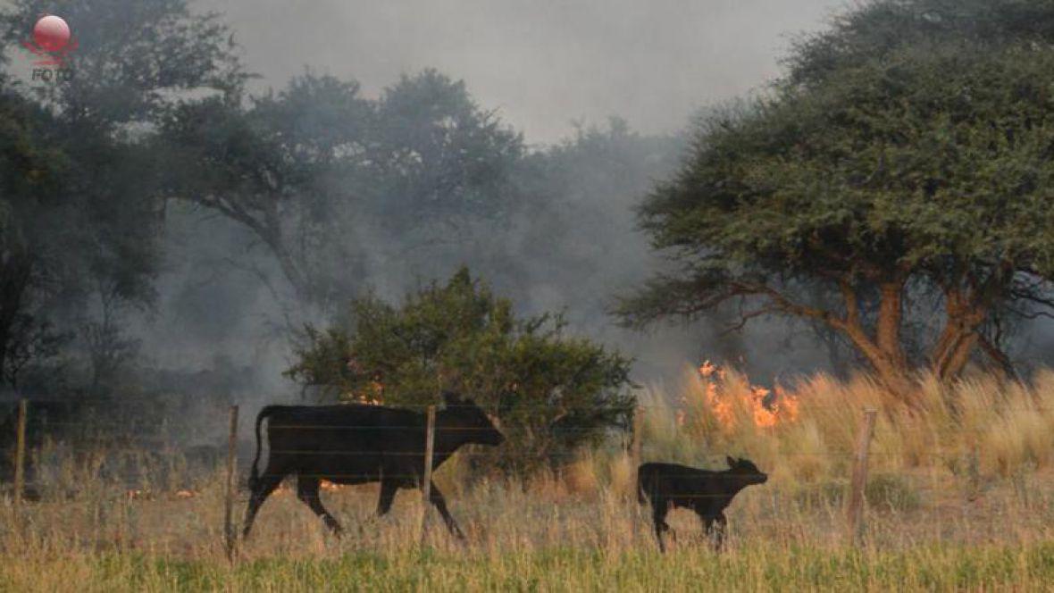 Fuego en el campo