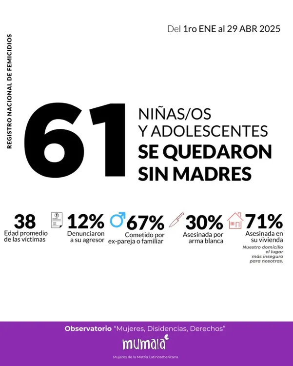 Ni una menos - estadisticas 2-2025png