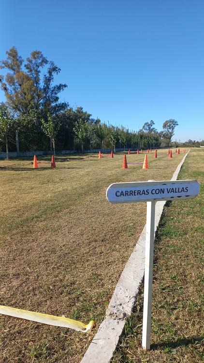 Pista atletismo CEF 3