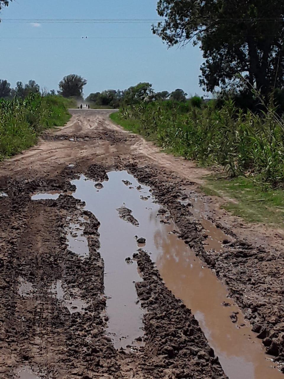 caminos rurales 2