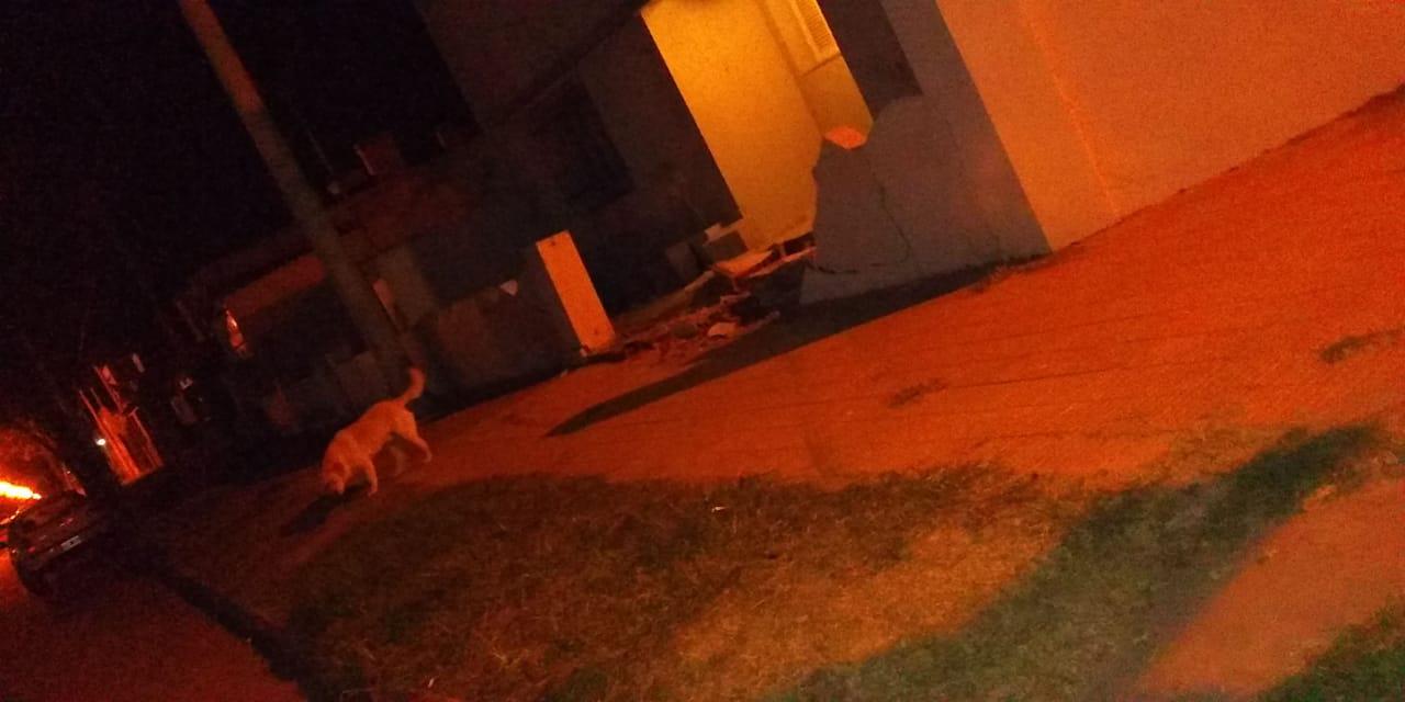 frente destruido