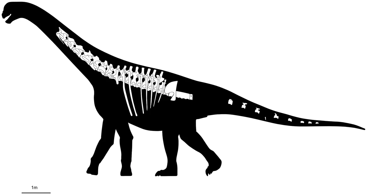 Bicharracosaurus 1