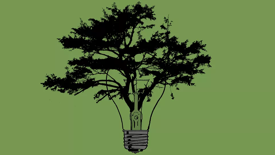 tree-2787760_960_720