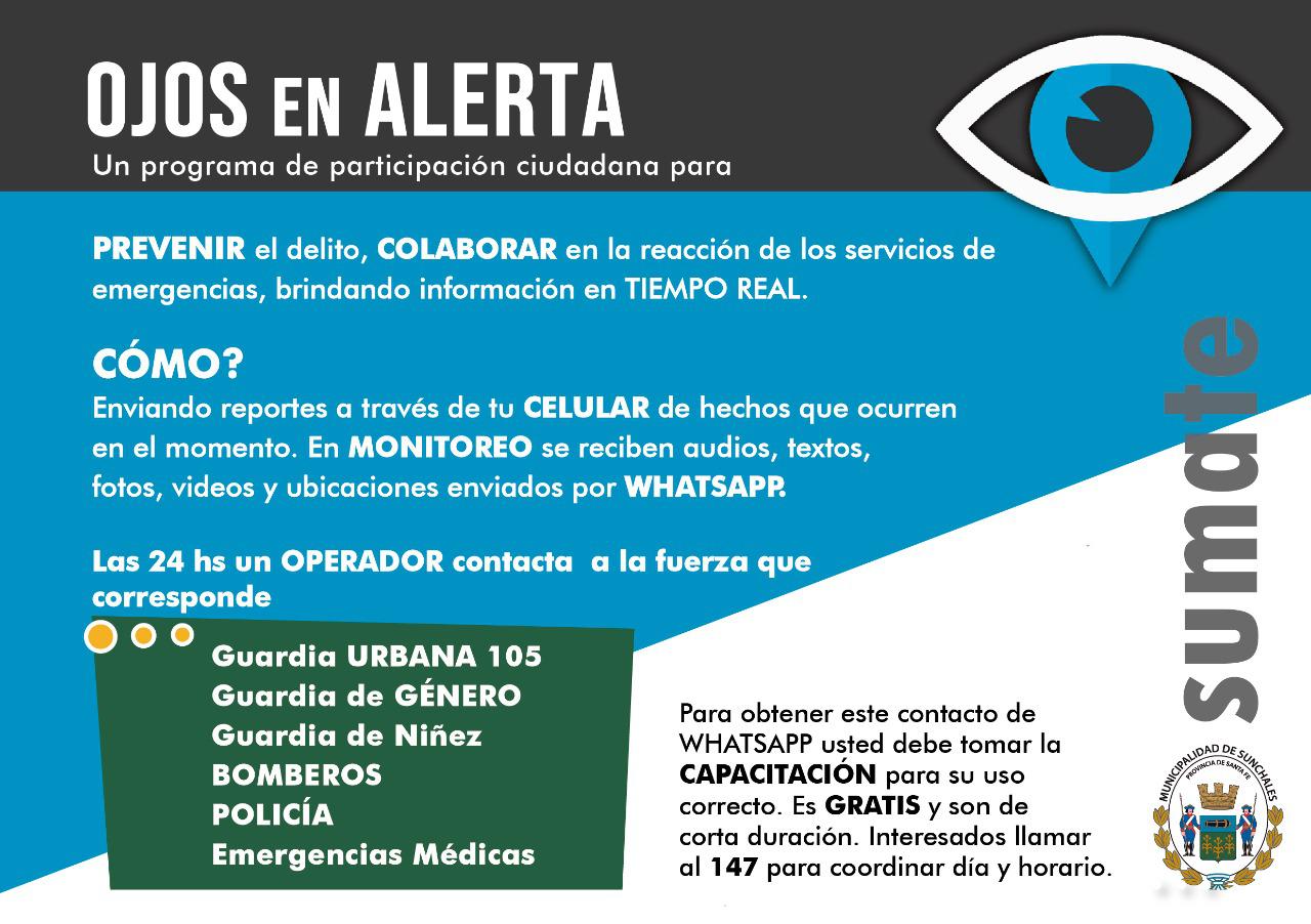 Ojos en alerta 1