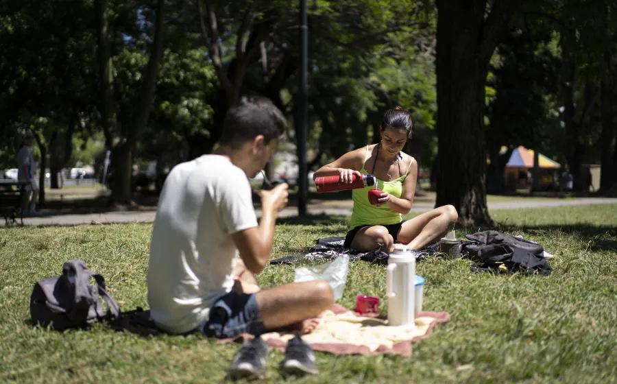 Disfrutando dia soleado 2