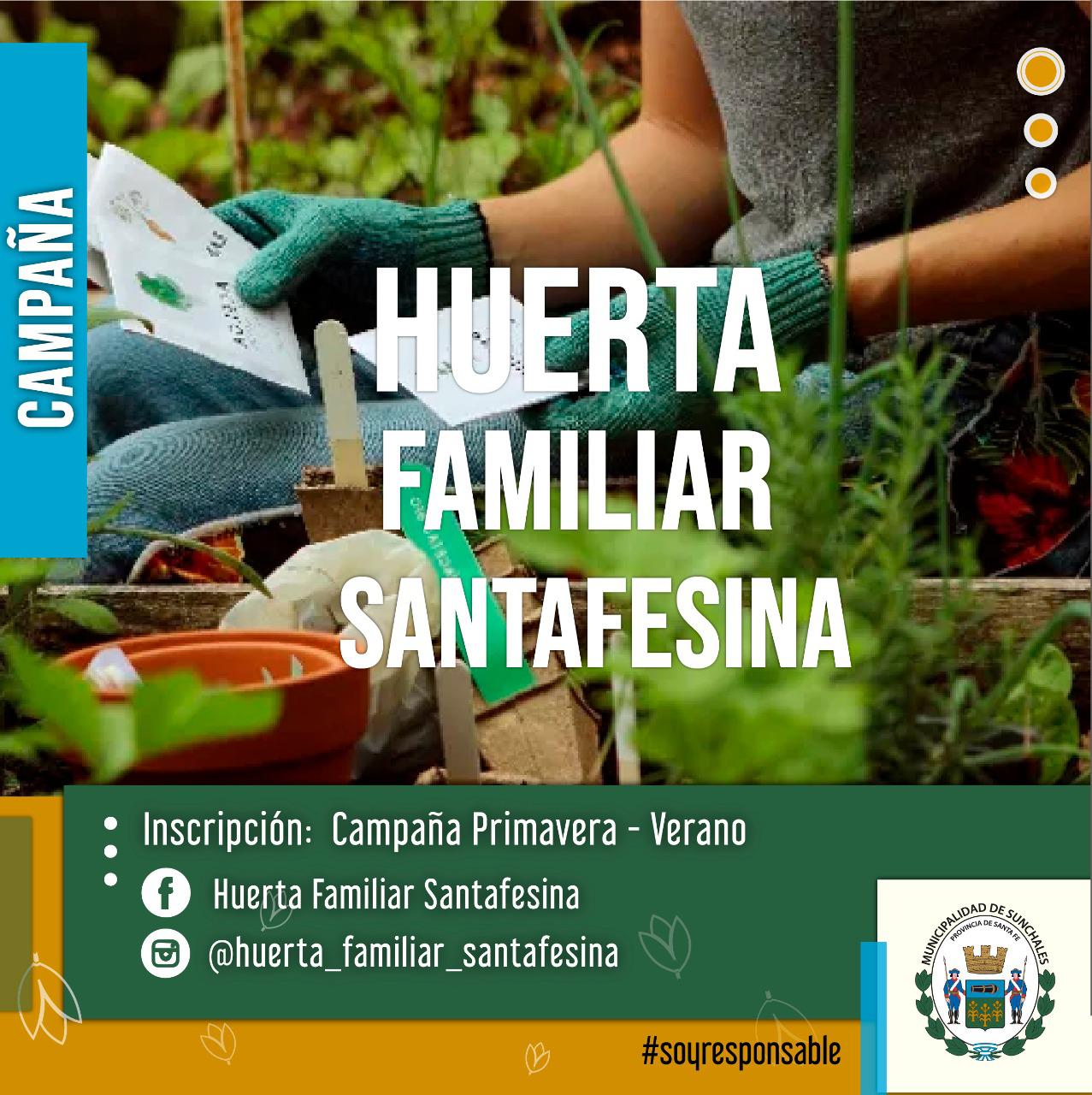 Huerta familiar santafesina