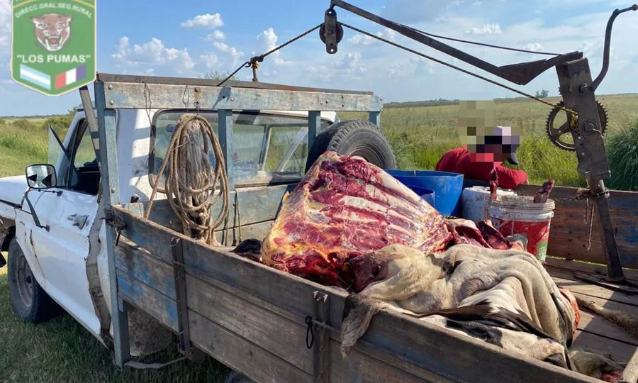 Secuestran carne sin documentacion