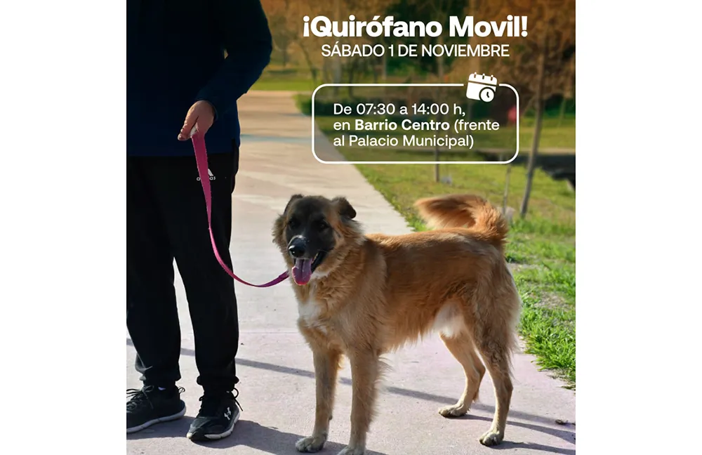 Quirofano movil 11-25