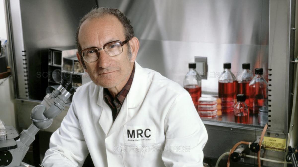 cesar milstein