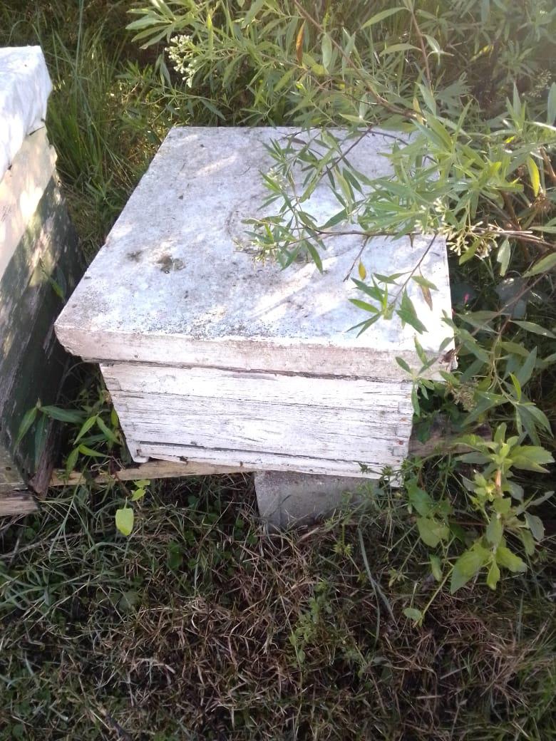 colmenas aldao 2