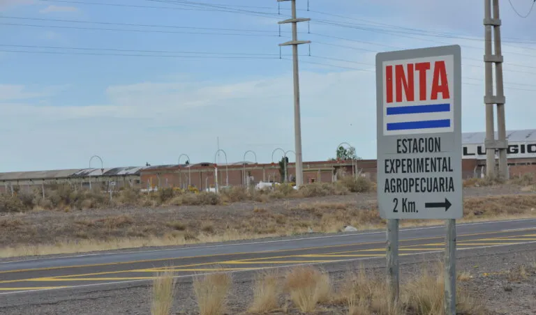 INTA