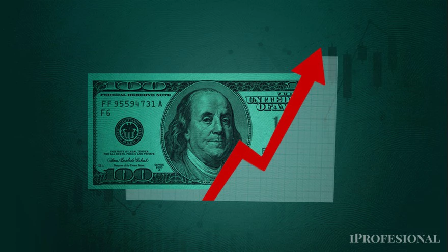 Dolar suba