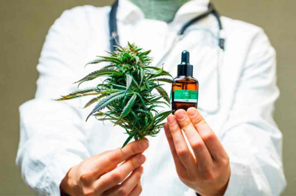 cannabis medicinal