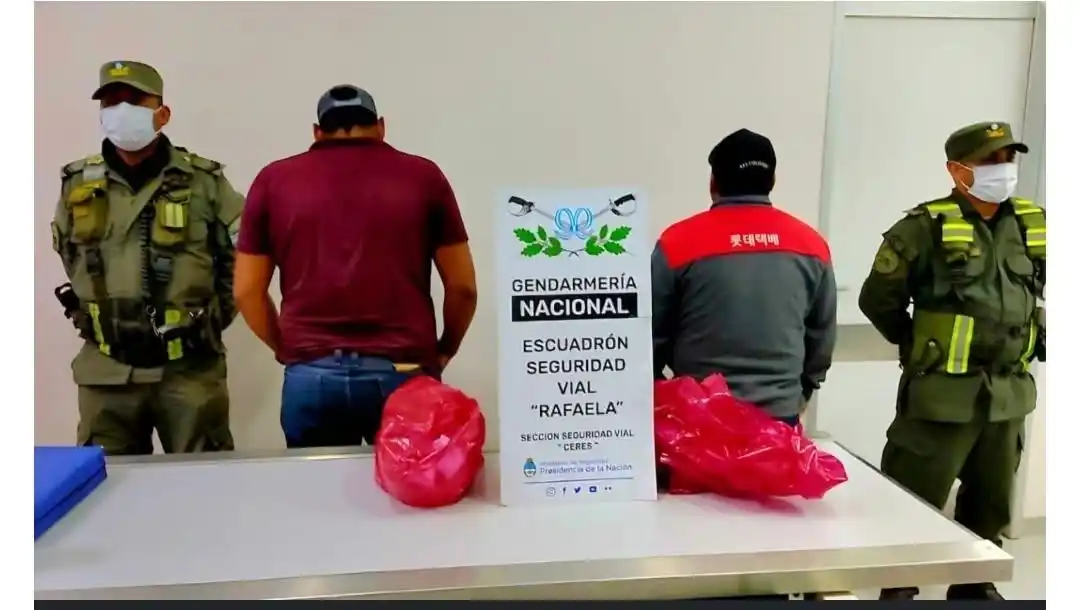 cocaina-capsulas-ceres-gendarmeria 2