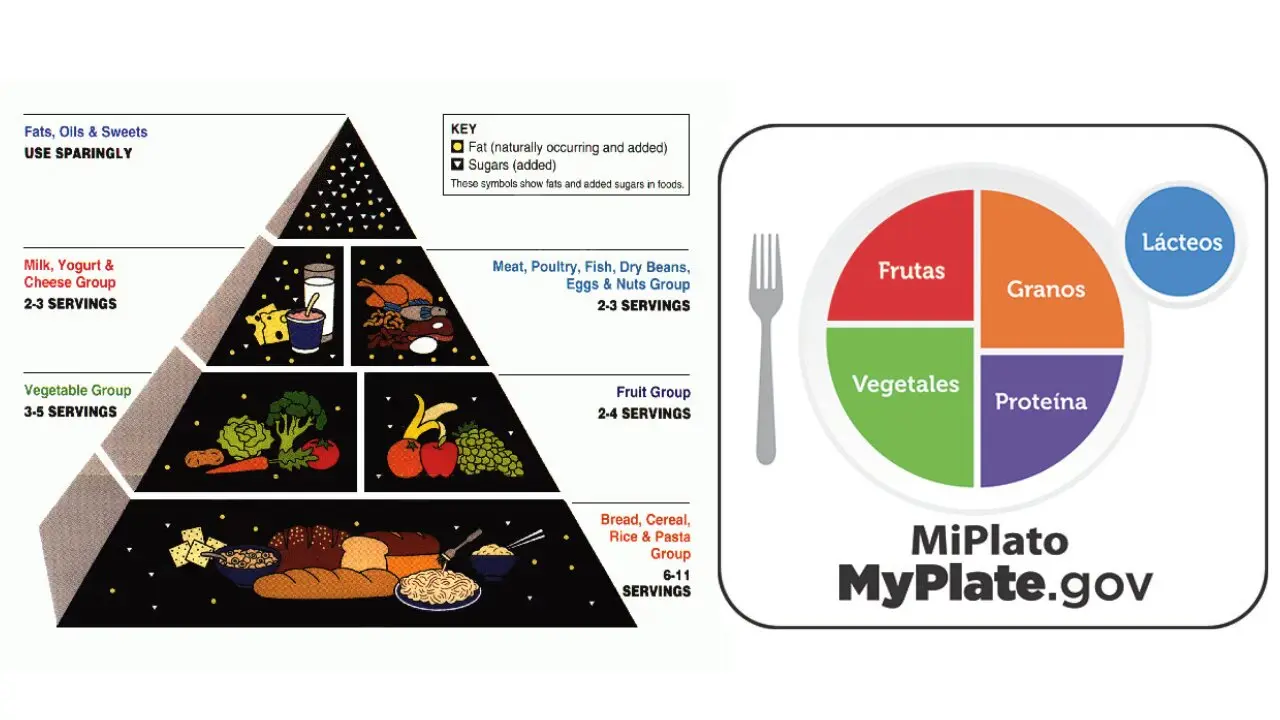 Nueva piramide nutricional 3