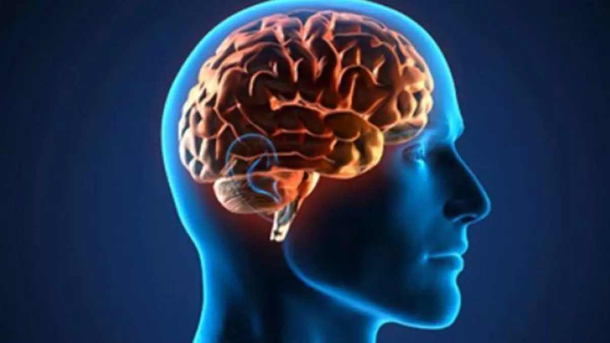 Dia Mundial del Cerebro