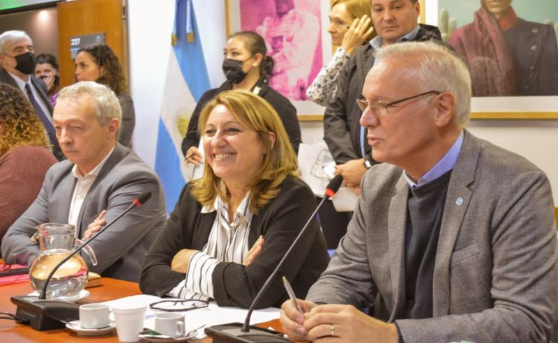 Monica Fein preside salud