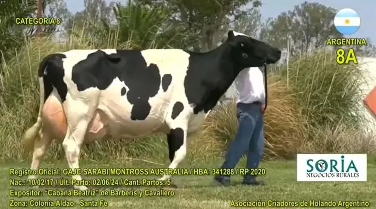 Cabaña Beatriz gano Copa Holstein