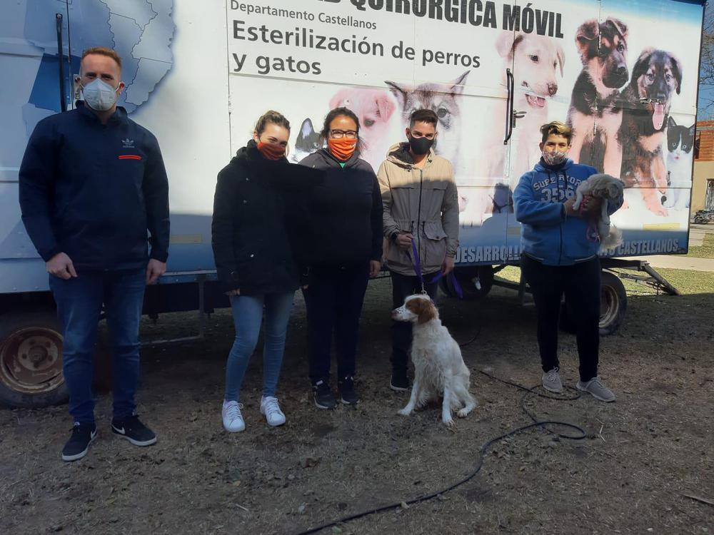 Castracion hembras 3