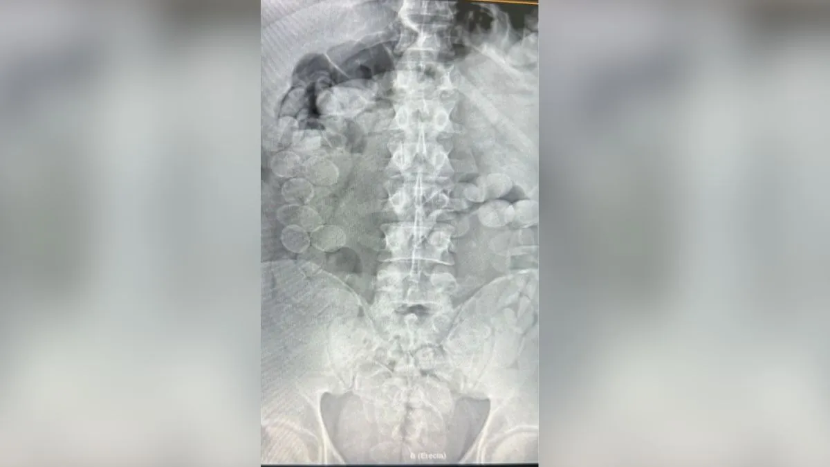 cocaina-capsulas-ceres-gendarmeria