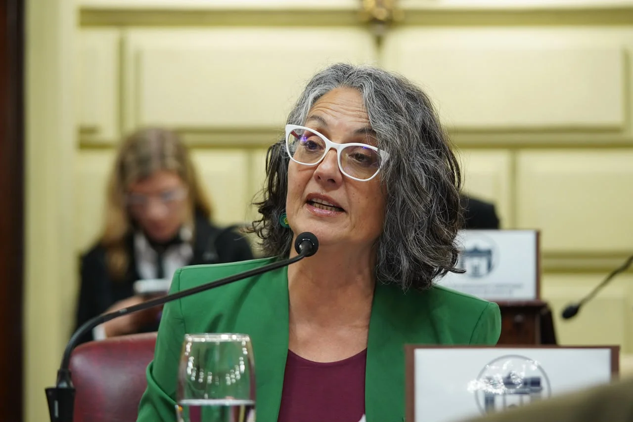 Diputada Rosana Bellatti
