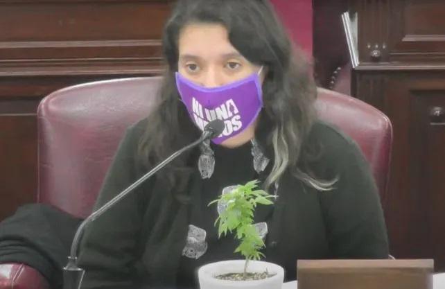 aprobacion cannabis