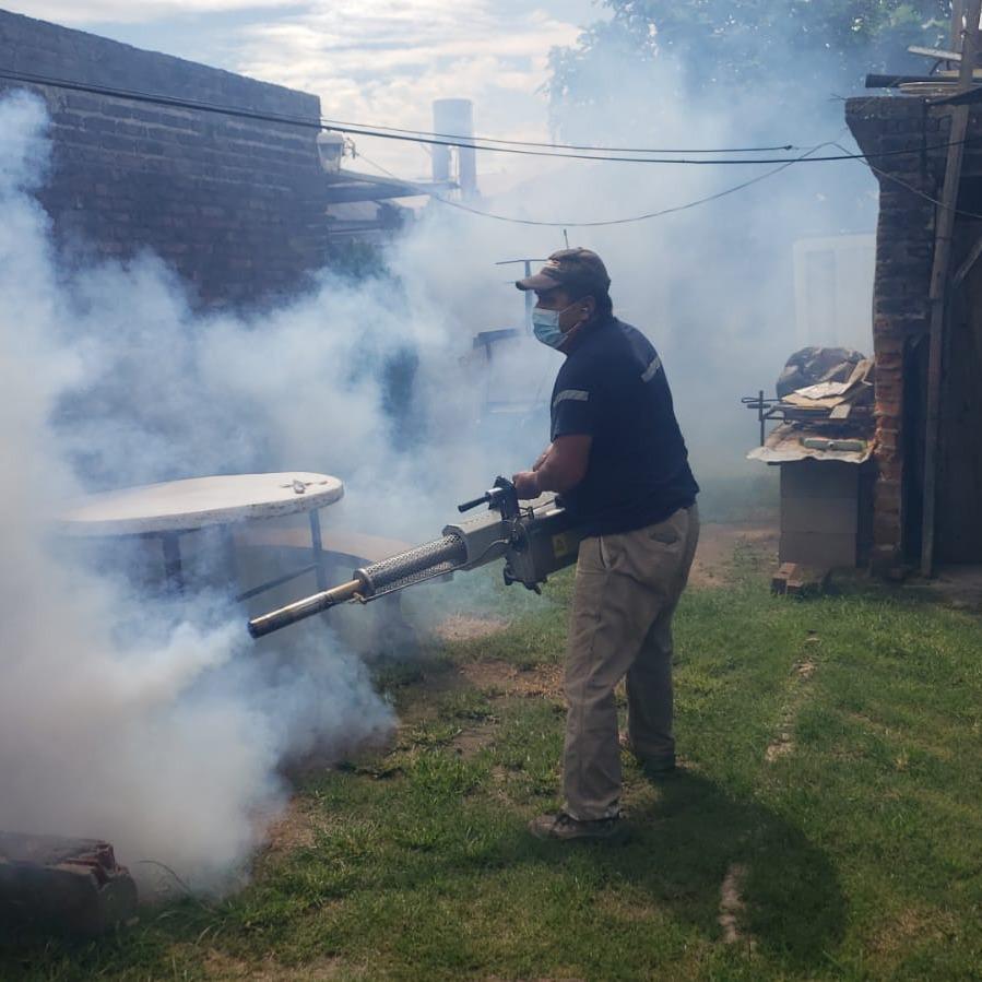 El Municipio realiza tareas de fumigación en todos los sectores de la ...