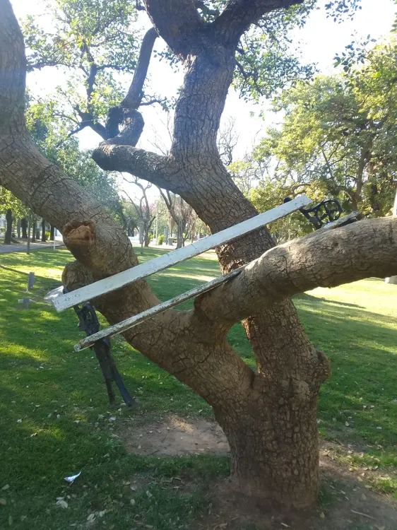 Vandalismo en Plaza Libertad 2 4-10-25