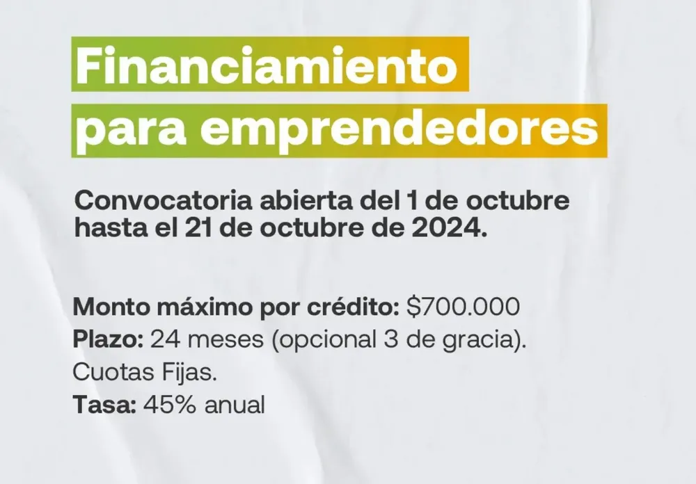 Financiamiento emprendedores 1