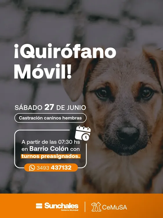 Quirofano movil 27-6-26