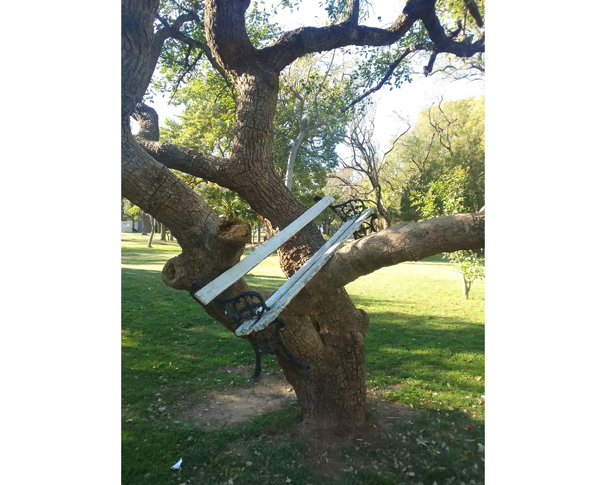 Vandalismo en Plaza Libertad 4-10-25